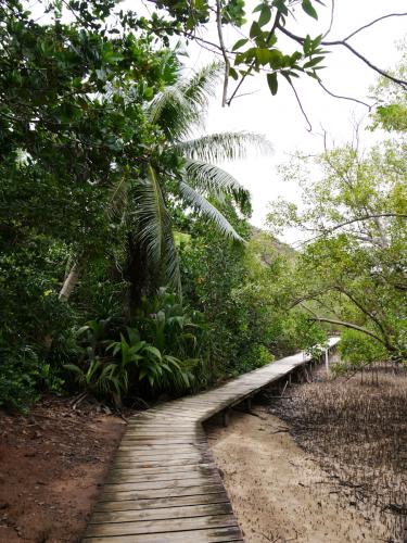 Trail durch die Mangroven-Landschaft auf Curieuse